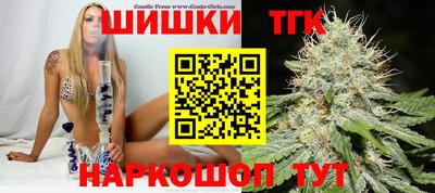 крисы Будённовск