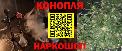 крисы Будённовск