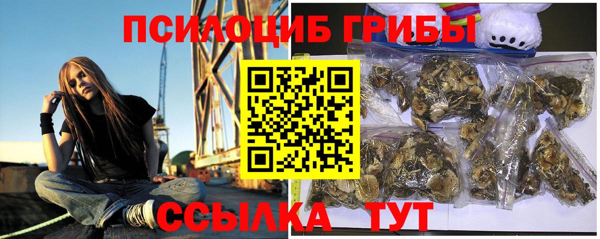 Нижний Тагил  наркошоп  Вход с VPN  Псилоцибиновые грибы ЛСД 